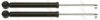 TRW JGT462T Shock Absorber